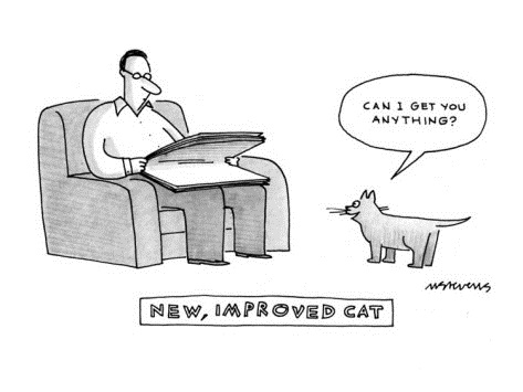 mick-stevens-new-improved-cat-can-i-get-you-anything-new-yorker-cartoon