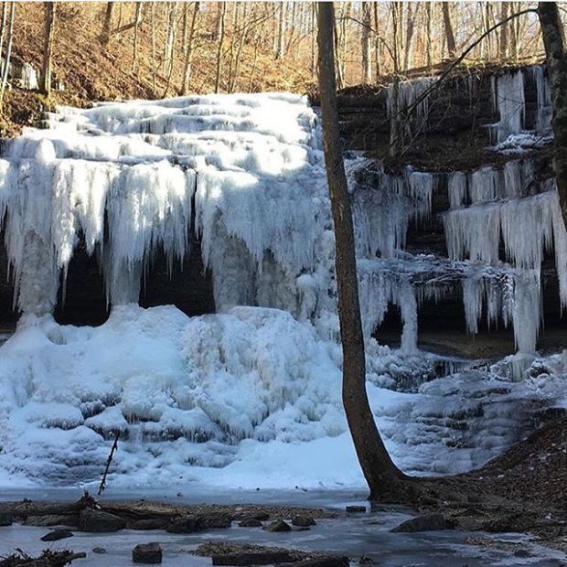 25023724_559123807764634_2973411640046780416_n