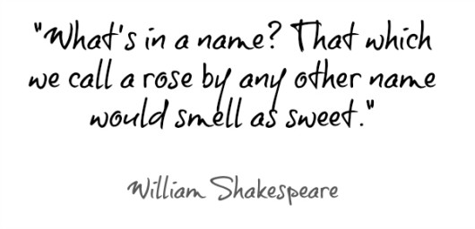William-Shakespeare-quote-530x256