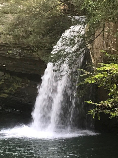 Savage Gulf Falls
