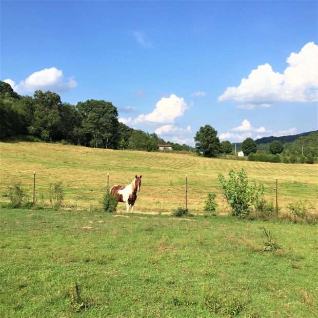 Rural Upper East Tennessee (2)